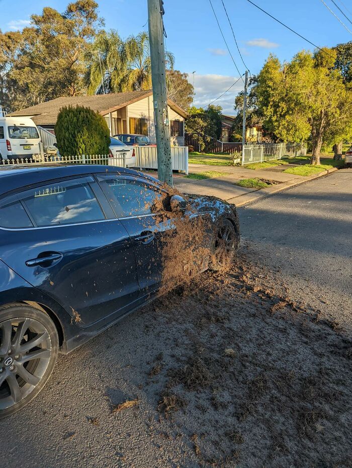 Kids On Dirt-Bikes Decided To Give My Car A New Paint Job