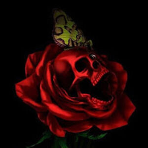 lillianmercado avatar