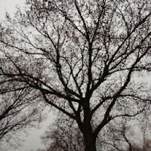 crystalknight avatar