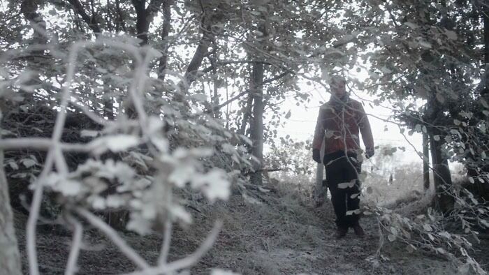 A person in the woods 