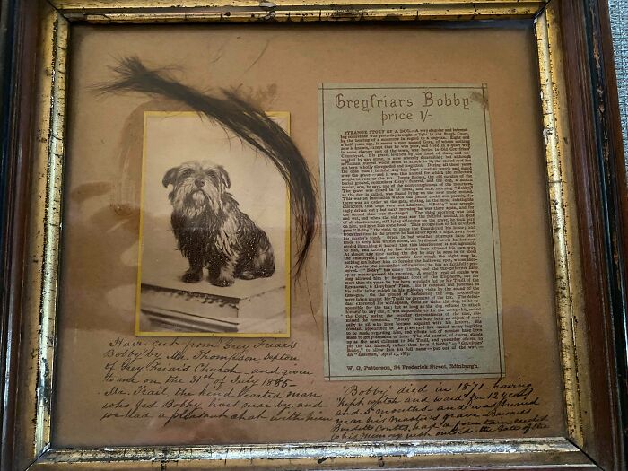 Found This In The Garage Of My Old House Almost 40 Years Ago. Hung On To It Because It’s A Touching Story And I Love Dogs