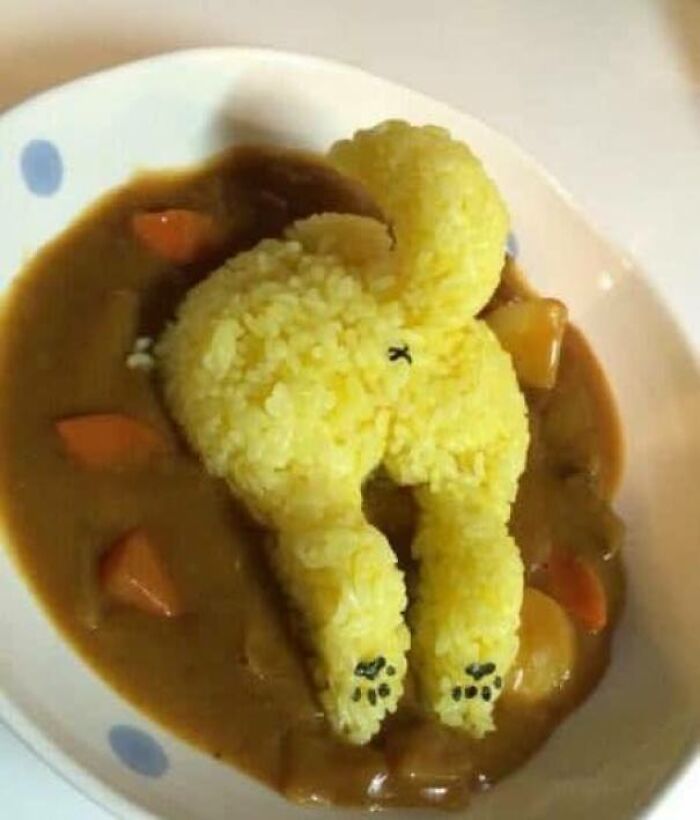  Shiba Butt Curry