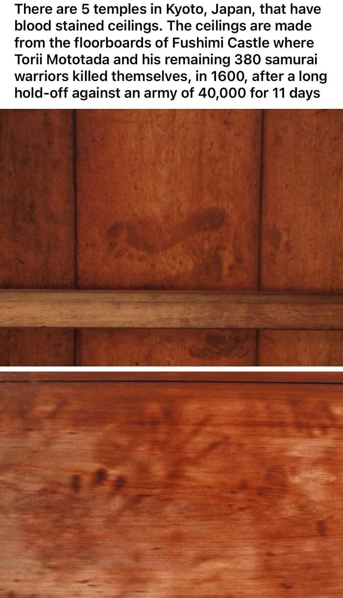 Some Of The Temples Are Hosen-In, Yogen-In, Shoden-Ji, Genko-An, And Kosho-Ji Among A Few Others, Kyoto