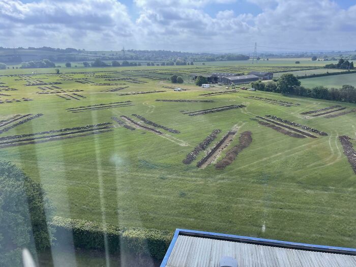 Líneas rectas pero no paralelas al azar en el campo que está junto a mi oficina… ¿Qué está pasando?
