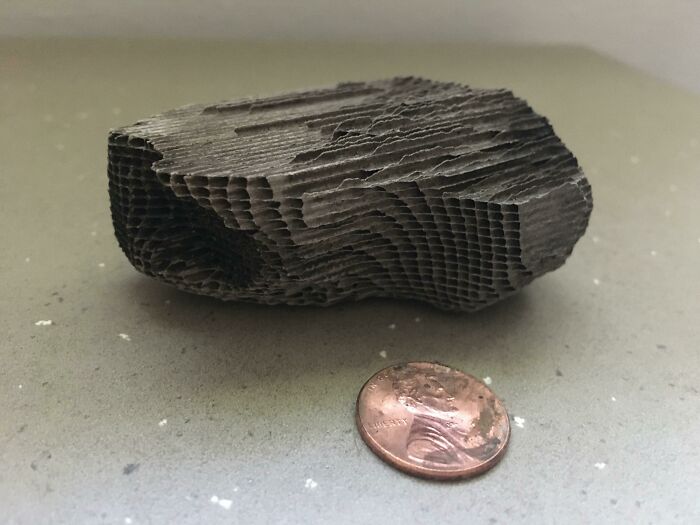 Found On The Grass In A Suburban Business Park. Lightweight Like Paper Or Dried Mud, Crumbles Easily, Yet Holds Its Shape In Water. Square Holes Run All The Way Through To The Other Side