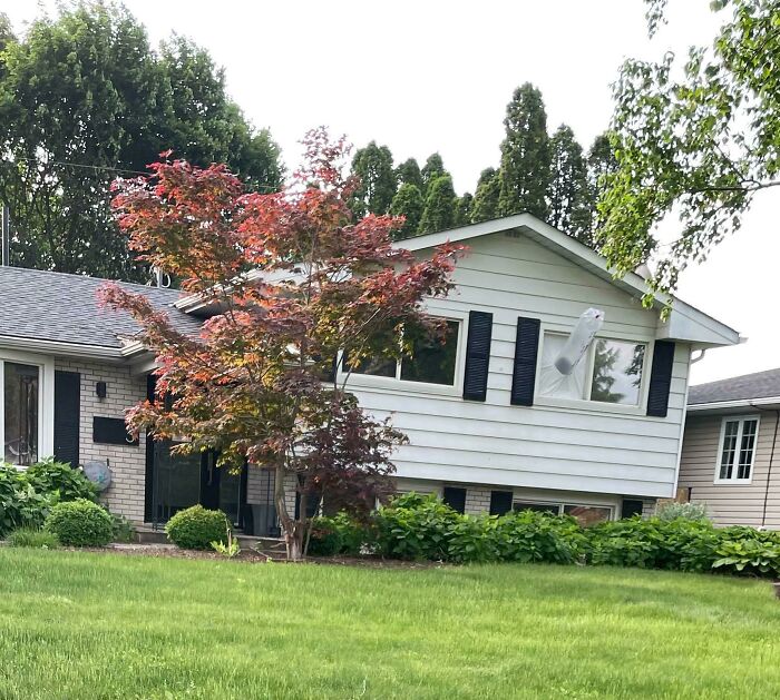 What Is This Thing? An Inflated Plastic Bag Sticking Out Of The Window Of One Of The Houses On My Street