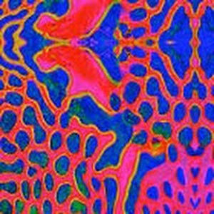 pomegranteappleson avatar