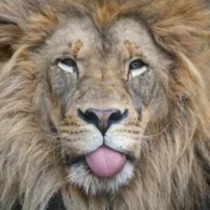 michael_john_mahoney1 avatar