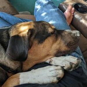 flowerpixe950 avatar