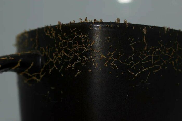 What Is This Growth On My Mugs After I Microwave Them?