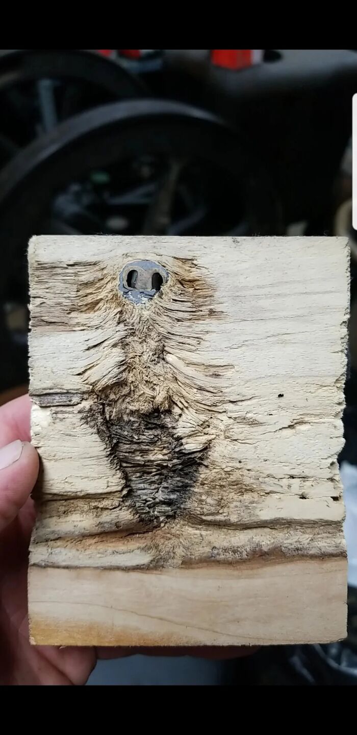 Esta pieza de cobre y posiblemente de plomo está incrustada en un trozo de madera. Ha estado en un estante de mi casa por muchos años y no tengo idea de lo que puede ser 