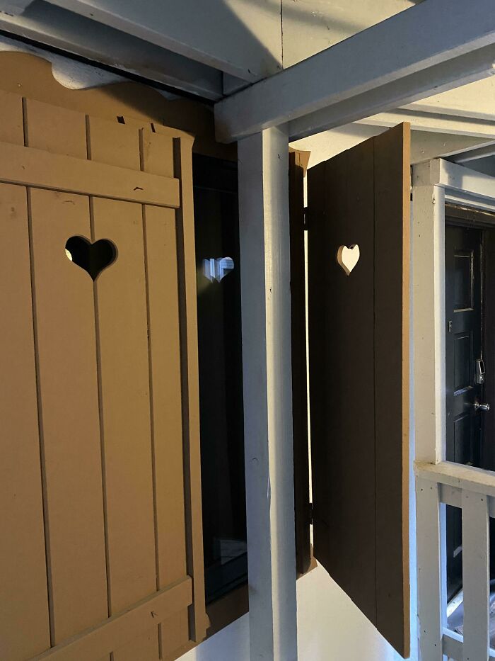 Didn’t Want To Shut It Anyway