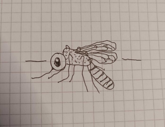 I Recently Had To Live Not Using My Right Hand For A Few Weeks. This Drawing Is Still Far From Perfect, But I Never Thought I Could Draw Nearly-Straight Lines With My Left Hand At All