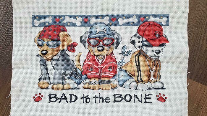 When I Was A Teenager, My Dad Took A Newly-Started Version Of This Away Because "Cross-Stitching Is For Girls". Cut To 20 Years Later As A Proud Gay Man, I Found This On Amazon And Completed Last Week As My First Project And A Huge Symbolic Personal Achievement. Take That Dad!