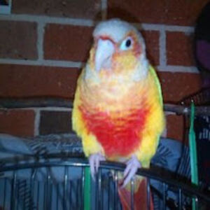 heathertaylor_3 avatar