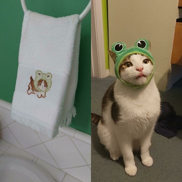 Do You See The Resemblance? 