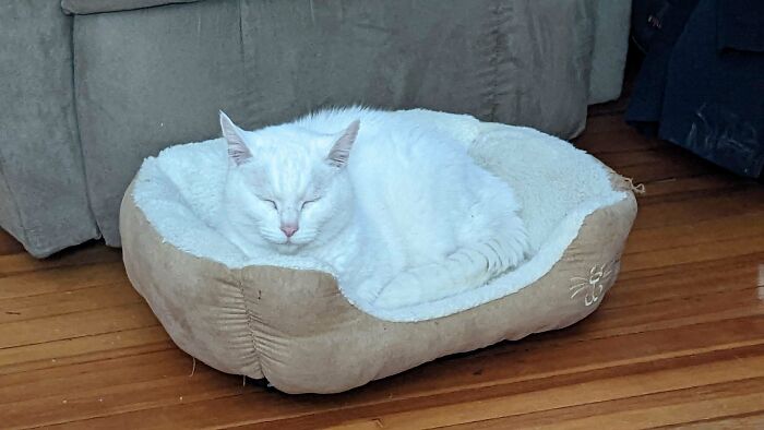 Winter Has Arrived A Tad Early.... Adopted This Weekend