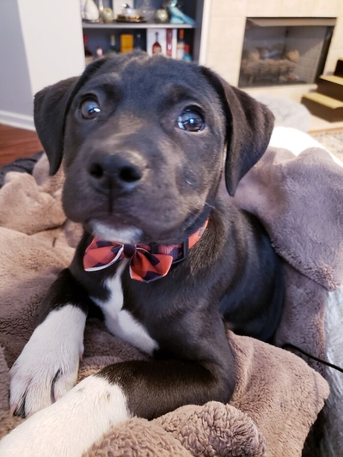 Fui al refugio. Conocí a alguien. Lo llamé Jackson. Lo vamos a petar