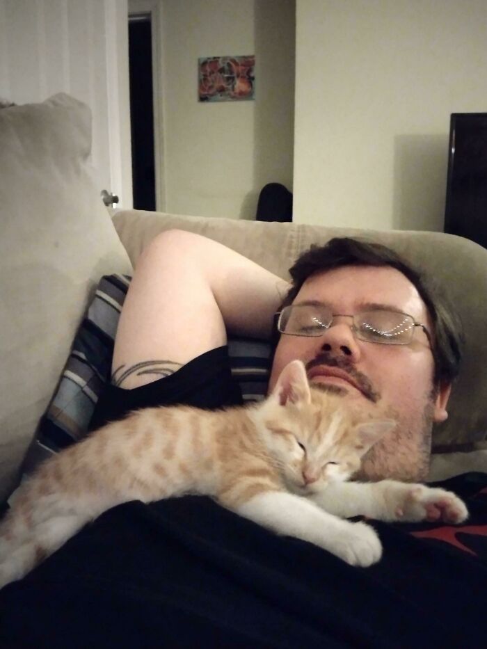 My Son Rescued A Very Illegally Tiny Smol Cat Today. My Grandcat