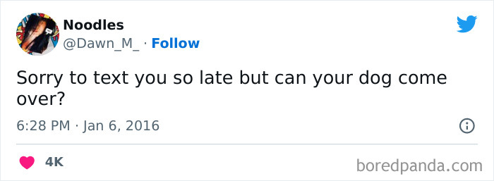 Tweet from woman humorously asking if a dog can come over late at night, showcasing funniest tweets from women.