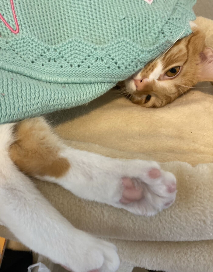 His Name Is Crackers This Is From 2020!!