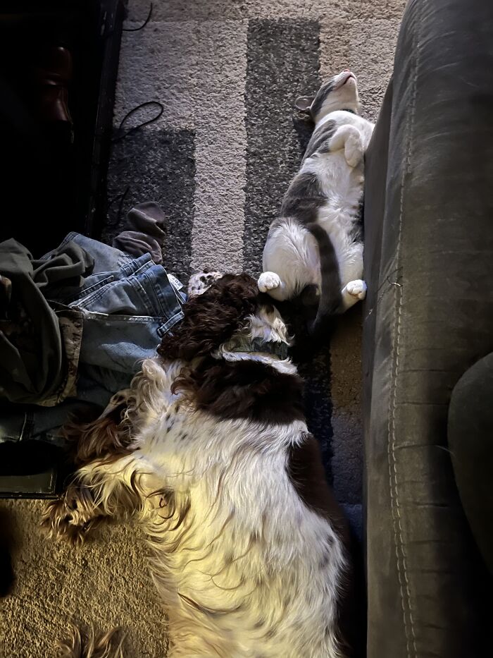 They Are Always On Alert