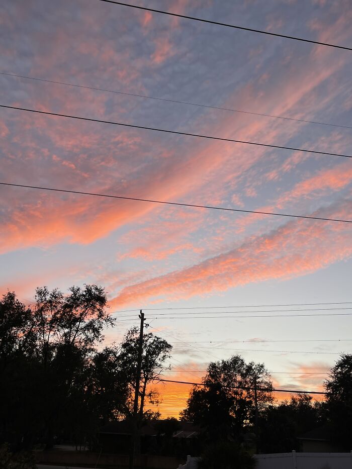 Looking At The Sunset Near Tampa USA