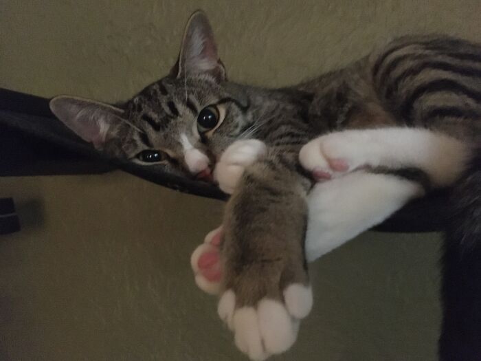 Sweet Esmerelda Beans