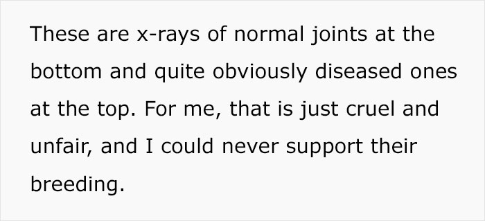 Veterinary Surgeon Reveals Cat And Dog Breeds He'd Never Buy And Explains Why Veterinary Surgeon Reveals Cat And Dog Breeds He'd Never Buy And Explains Why