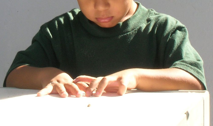 Estos profesores cuentan cómo descubrieron que tenían un estudiante superdotado