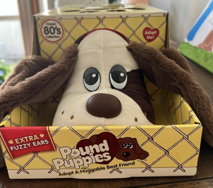 So When I Was 8 Years Old I Would Have Given My Right Arm For One These Classics 😂 It’s Only Taken 35 Years But I Can Honestly Say My 8 Year Old Self Is A Very Happy Little Girl