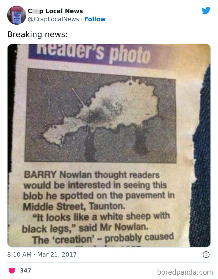 Weird-Funny-News-Headlines