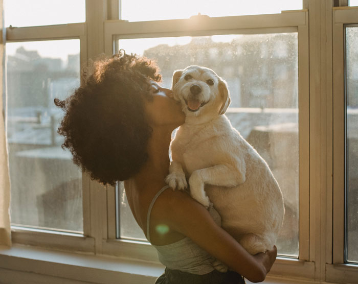 Care For A Neighbor's Pet While They Are Away