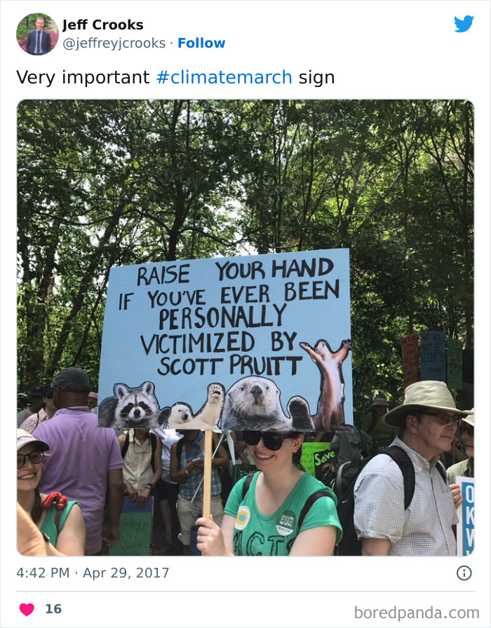 Everything For The Animals