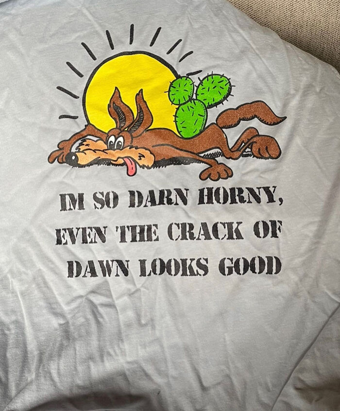 Weird Thrift Store Shirts