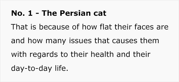 Veterinary Surgeon Reveals Cat And Dog Breeds He'd Never Buy And Explains Why Veterinary Surgeon Reveals Cat And Dog Breeds He'd Never Buy And Explains Why