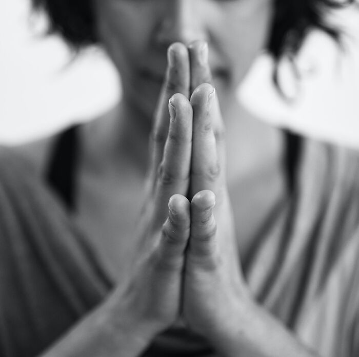 “What Is Something You Are Thankful For”: 50 Pandas Shared For What They Feel Grateful This Year