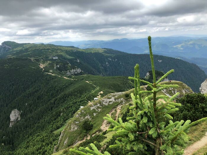 Ceahlau, Romania. It Also Features ~500 Stairs To Top
