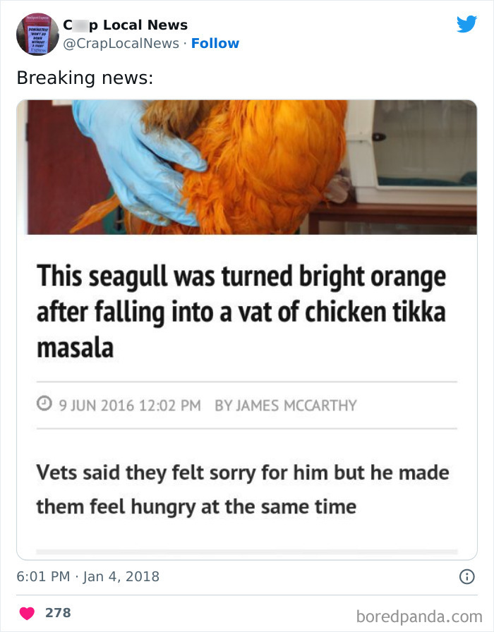 Weird-Funny-News-Headlines