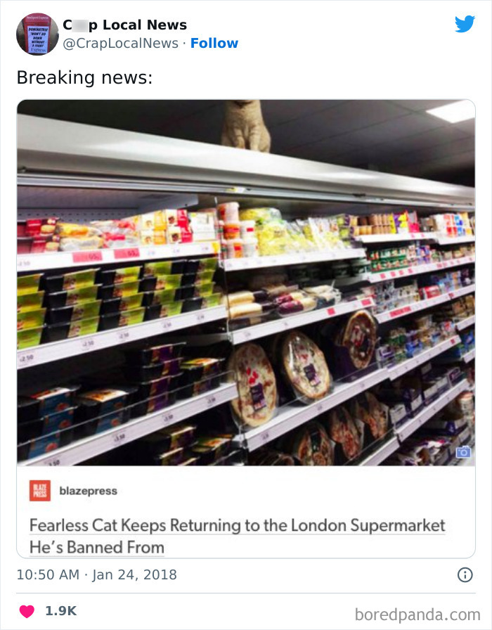 Weird-Funny-News-Headlines