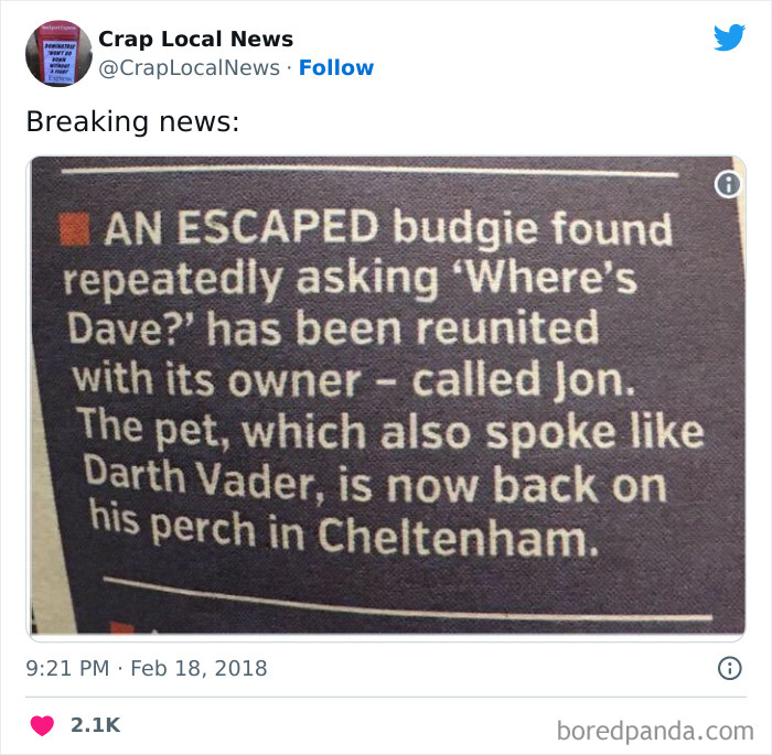 Weird-Funny-News-Headlines