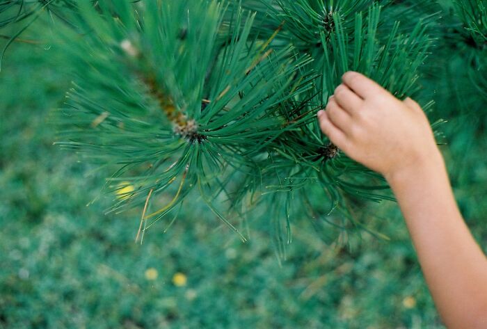 30 Pieces Of Advice That Didn't Age Well, According To Folks In This Online Group