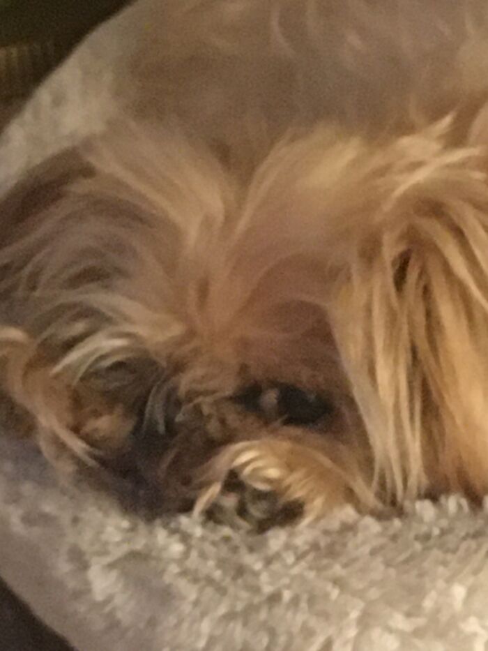 Please Hit The Snooze Button!