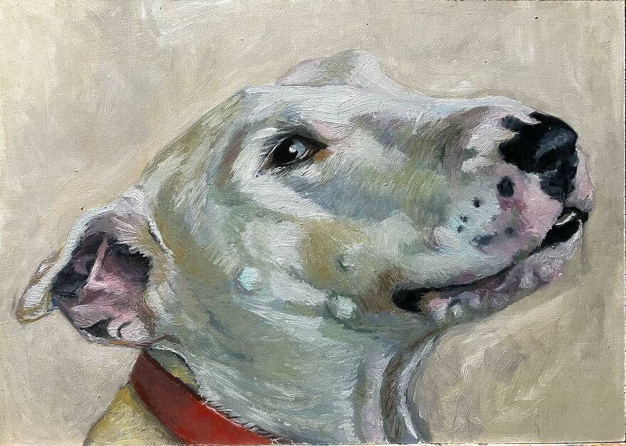 Louie By Laura Lee Burch (Israel)