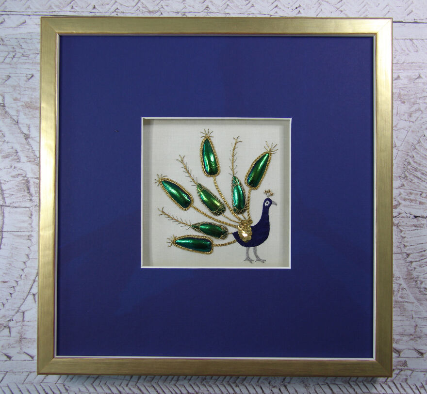 Beetle Winged Peacock By Dr Jessica Grimm (Germany)