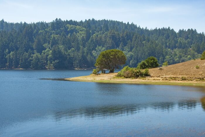 Lake Lagunitas, Marin California