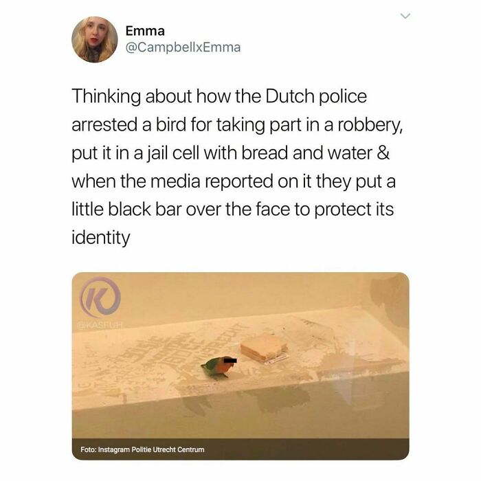 Funny-Questionable-Tweets