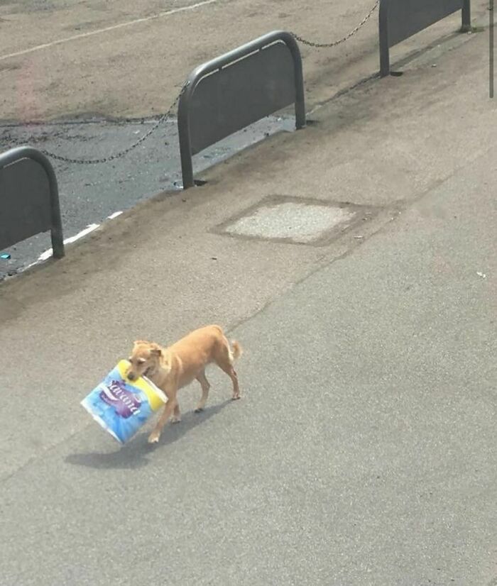 Nonsense-Pics-Memes-Emotionalclub