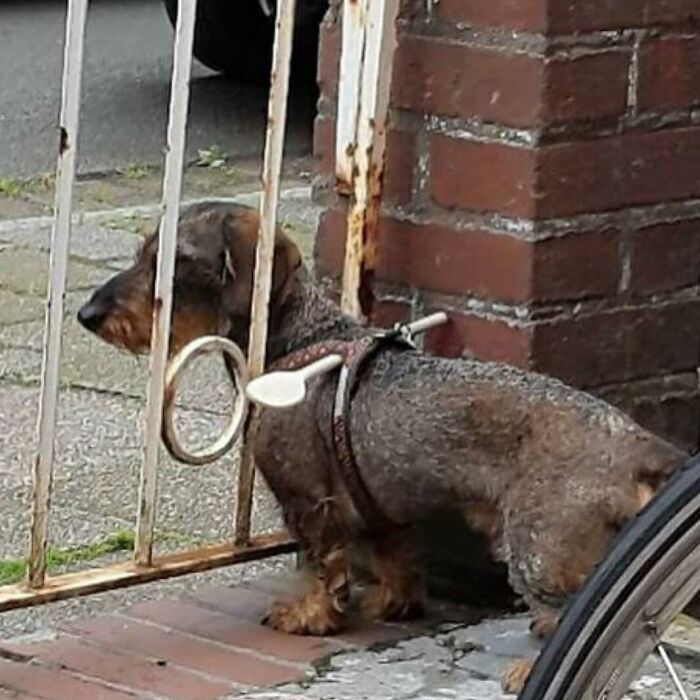 Nonsense-Pics-Memes-Emotionalclub