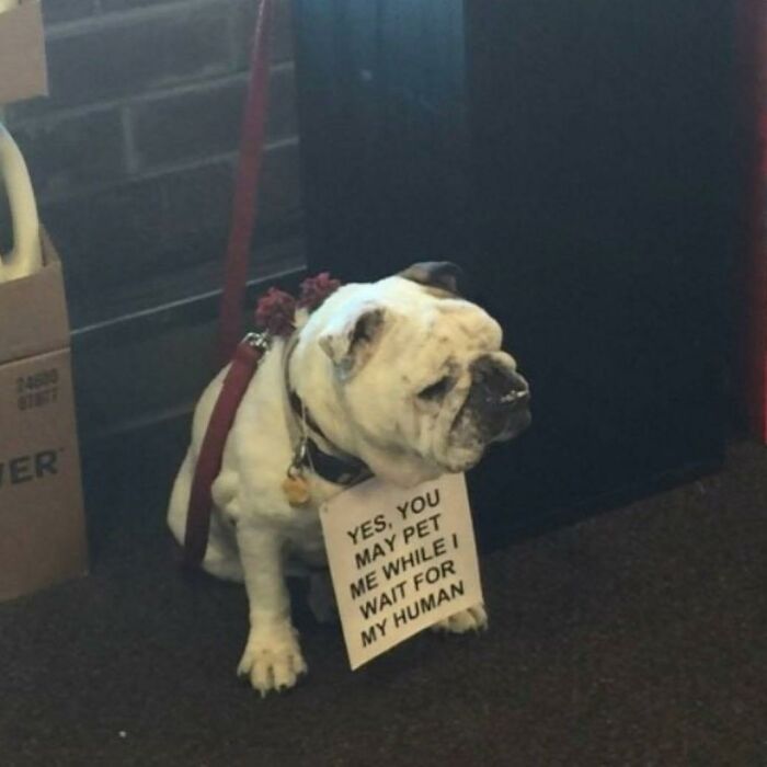 Nonsense-Pics-Memes-Emotionalclub